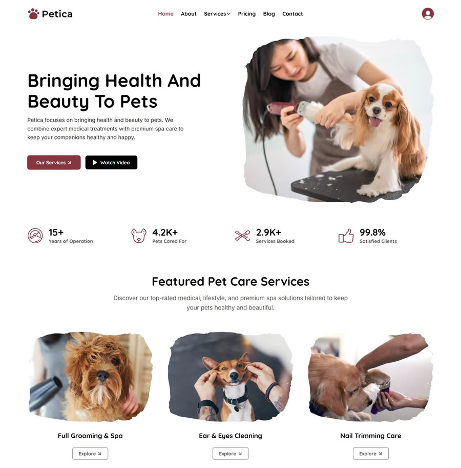 Wix Template for Pet Care, Pet Clinics, Pet Training